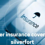 cyber insurance coverage silverfort