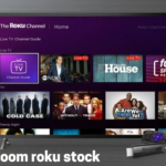 fintechzoom roku stock