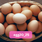 egg20_25