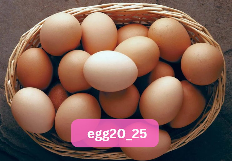 egg20_25