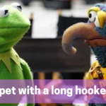 muppet with a long hooked beak