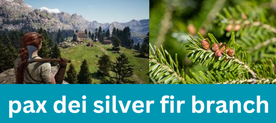 pax dei silver fir branch