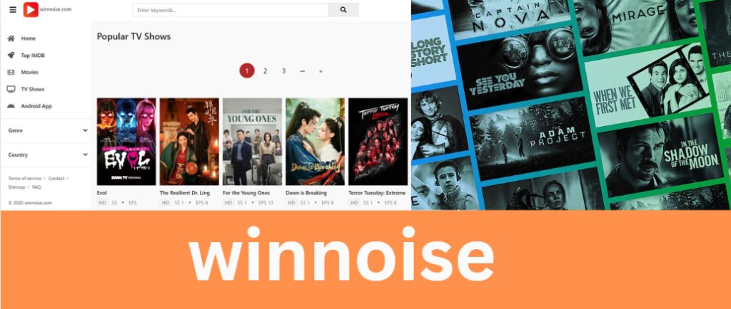 winnoise