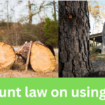 bonner count law on using chainsaws