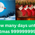 how many days until christmas 999999999999