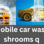 mobile car wash shrooms q