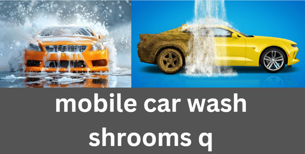 mobile car wash shrooms q