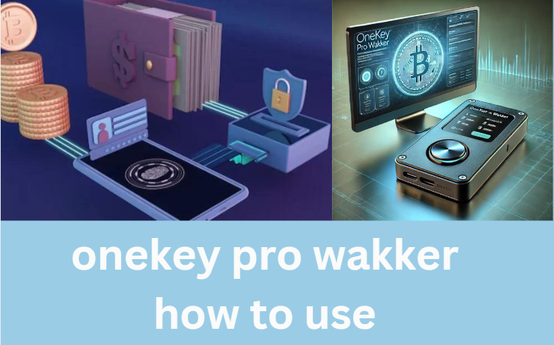 onekey pro wakker how to use